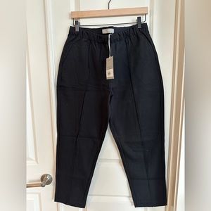 NWT Everlane Dream Pant